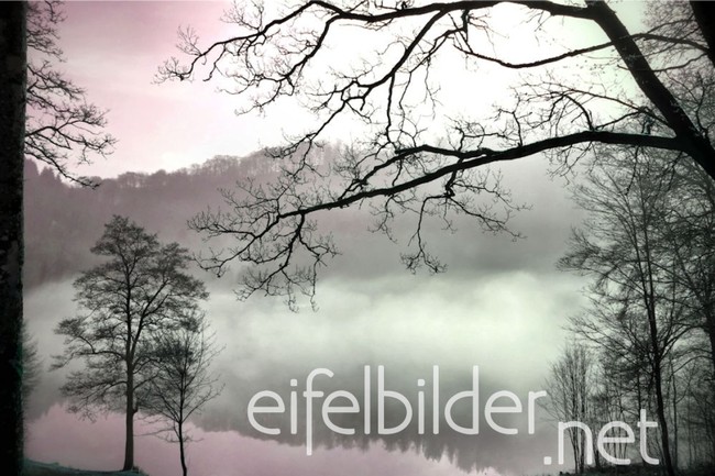 Eifel mystisch Morgennebel am Gemündener Maar